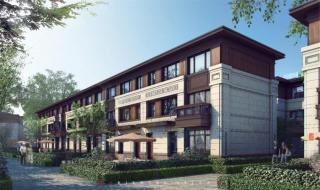 新城市别墅 新城市别墅